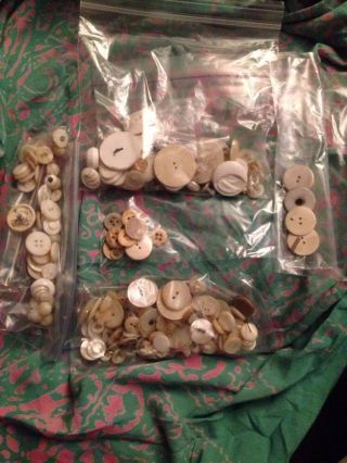 100s Of 1800s Antique Shell And Bone Buttons photo