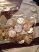 100s Of 1800s Antique Shell And Bone Buttons Other Antiquities photo 4