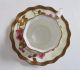19th C E.  J.  D.  Bodley Burslem Gold & Pink Floral Painted Cup/saucer 7 8093 Ex.  Cnd Cups & Saucers photo 1