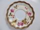 19th C E.  J.  D.  Bodley Burslem Gold & Pink Floral Painted Cup/saucer 7 8093 Ex.  Cnd Cups & Saucers photo 2