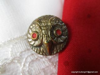 2547 – S – Who But Mr.  Owl Antique Vintage Button,  Cute Red Eyes photo