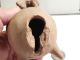 Veracruz Deer Figure Pre - Columbian Pottery Ancient Artifact Archaic Mayan Mex Nr The Americas photo 9