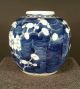 A Blue And White ' Prunus ' Vaseqing Dynasty,  Kangxi Period - Top Marked Vases photo 2