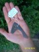 Black Cannel Coal Claw Effigy Pendant Stone Elbow Pipe,  Knife Handle Arrowheads Primitives photo 3