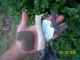 Black Cannel Coal Claw Effigy Pendant Stone Elbow Pipe,  Knife Handle Arrowheads Primitives photo 6
