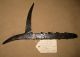 Primitive Hand Forged Unusual Log Pike W/ Tag Found By Wind River Dubois,  Wis. Primitives photo 1