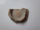 Very Rare Ancient Roman Pottery Fragment 1 - 2 Ad Roman photo 6