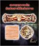 Sacred Takrut Bangrajan Bronze With Copper Tant Incantation Wat Wang Pae Amule Amulets photo 3