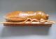 2026g Ancient Chinese Hetian Jade Carved Jade Cicada Statue Long 10.  8inch Other Antique Chinese Statues photo 5