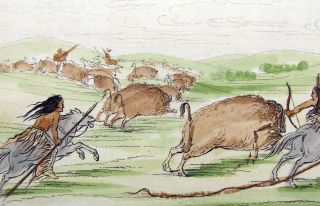 1842 Geo Catlin Handcol Eng Native American Indians - Buffalo Hunt photo