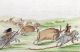 1842 Geo Catlin Handcol Eng Native American Indians - Buffalo Hunt Native American photo 1