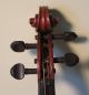 1926 German Violin Made For Associated Violin Schools Of America Providence Ri String photo 7