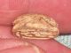 Egyptian Steatite Scarab - Praying King In Front Of Obelisk.  19th/20th Dynasty? Egyptian photo 2