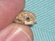 Egyptian Steatite Scarab - Praying King In Front Of Obelisk.  19th/20th Dynasty? Egyptian photo 5