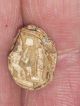 Egyptian Steatite Scarab - Praying King In Front Of Obelisk.  19th/20th Dynasty? Egyptian photo 7