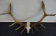 Large Black Forest - Red Deer - Antlers - Art Deco - Taxidermy - Elk - Mule Deer - Restaurant - Carved Figures photo 2