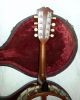 1922 Fairbanks Vega Style K 8 - String Mandolin - Banjo W/original Case Nr Banjolin String photo 5