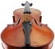 Cajetanus Sgarabotto Old Labeled Antique Italian 4/4 Master Violin String photo 4