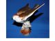 Romanian Handpainted Swallow Bird Porcelain Figurine From Hungary Indicated Figurines photo 2