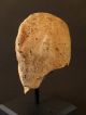 Latium Etruscan Women Head In Terracotta - 4th - 3rd Century Bc - 9.  5cm - 3.  7in Greek photo 4