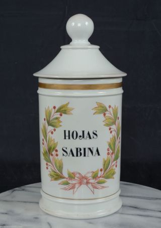 19th Century Apothecary Jar Hojas Sabina Paris White Porcelain French photo