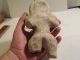 Tlatilco Large Female Pre - Columbian Pottery Ancient Artifact Archaic Mayan Nr The Americas photo 10