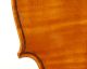 Fine Antique Handmade Master 4/4 Violin With Case - Labeled - From 1880 - 1900 String photo 5