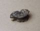 Pewter Astralagus Knucklebone,  Fivestones Or Jacks Gaming Piece Other Antiquities photo 3