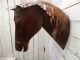 Handmade Scrap Metal Horse Head Plaque Taxidermy Cowboy Western Rustic Decor Primitives photo 1
