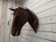 Handmade Scrap Metal Horse Head Plaque Taxidermy Cowboy Western Rustic Decor Primitives photo 5