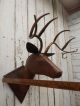 Handmade Scrap Metal Deer Head Plaque Hunting Taxidermy Cabin Lodge Decor Primitives photo 2