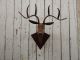 Handmade Scrap Metal Deer Head Plaque Hunting Taxidermy Cabin Lodge Decor Primitives photo 4