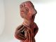 Extremely Rare Ancient Anthromorphic Neolithic Vinca Clay Idol 5000 B.  C. Other Asian Antiques photo 4