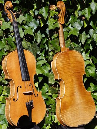 Vintage Czech Violin - V.  F.  Cerveny & Sons.  & Sound photo