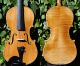 Vintage Czech Violin - V.  F.  Cerveny & Sons.  & Sound String photo 1