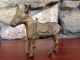Antique Cast Iron Mule Penny Bank.  1920 ' S.  Make Offer Primitives photo 6