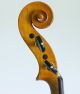 Gagliano School 4/4 Violin Old Geige Violon Don ' T Miss It String photo 11
