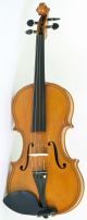 Gagliano School 4/4 Violin Old Geige Violon Don ' T Miss It String photo 1
