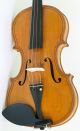 Gagliano School 4/4 Violin Old Geige Violon Don ' T Miss It String photo 2