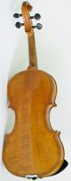 Gagliano School 4/4 Violin Old Geige Violon Don ' T Miss It String photo 4