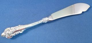 Grande Baroque - Wallace Sterling Hh Master Butter Spreader photo