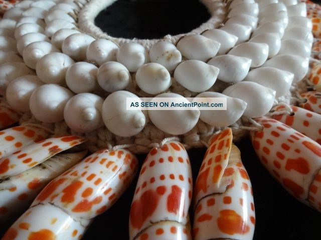 Collier Shell Necklace White Nerites And Orange Junonian Guinea Style Kuta Pacific Islands & Oceania photo