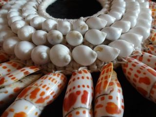 Collier Shell Necklace White Nerites And Orange Junonian Guinea Style Kuta photo