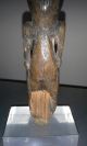 Oceanic Pre - Contact Papuan Ramu Figure Fragment (circa 1820 ' S) Pacific Islands & Oceania photo 3