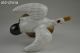 Collectible Antique Handwork Old Porcelain Carve Crane Lucky Lifelike Statue Other Antique Chinese Statues photo 4