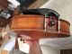 Rare Antique Thomas Furst Mittenwald Germany Full - Size Violin Circa 1900 String photo 6