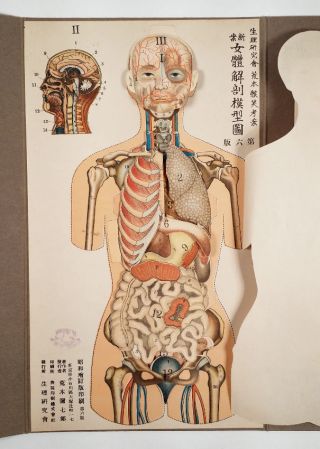 Rare Antique Folding Japanese Anatomical Diagram Lithography Medical Physician photo