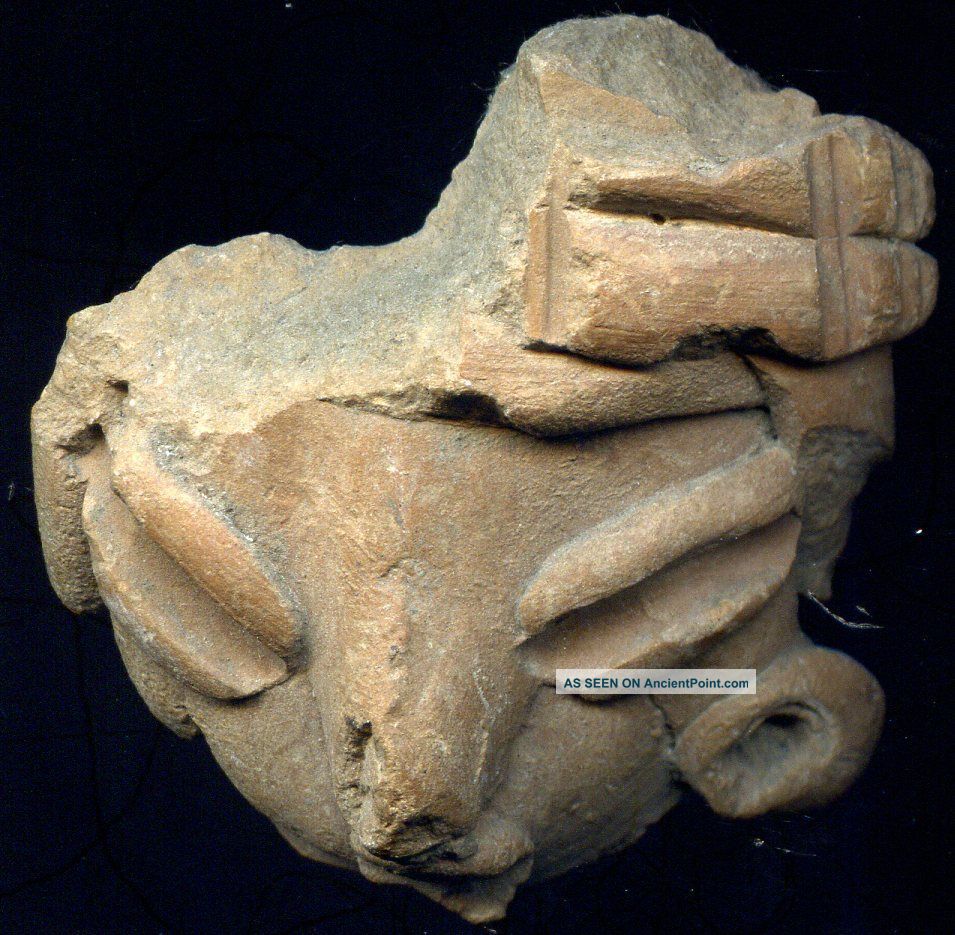 Pre - Columbian 4 Chupicuaro Clay Figure Heads,  Ca; 500 - 100 Bc The Americas photo