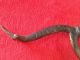 Antique Cast Iron Wood Stove Top Lid Lifter Handle / Remover 9.  5 Inches Stoves photo 1