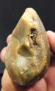 L Palaeolithic Mode 1 Unifacial Chopper Made On A Cobble C 700k,  Found Kent P519 Neolithic & Paleolithic photo 6